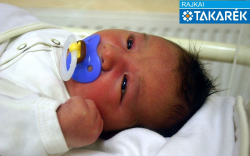 Hegyi Ármin István, Rajka