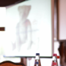 A Teddy mackó története (Fotó: Nagy Mária)