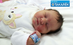 Varga Fruzsina, Mosonmagyaróvár