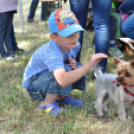 4. Kéklámpás Nap (Fotó: Horváth Attila)