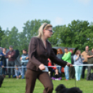 CAC kutyakiállítás (Fotó: Nagy Mária)