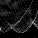 Tilai Gergely - Kerekesszéktől az önálló fotókiállításig