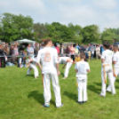 CAC kutyakiállítás (Fotó: Nagy Mária)