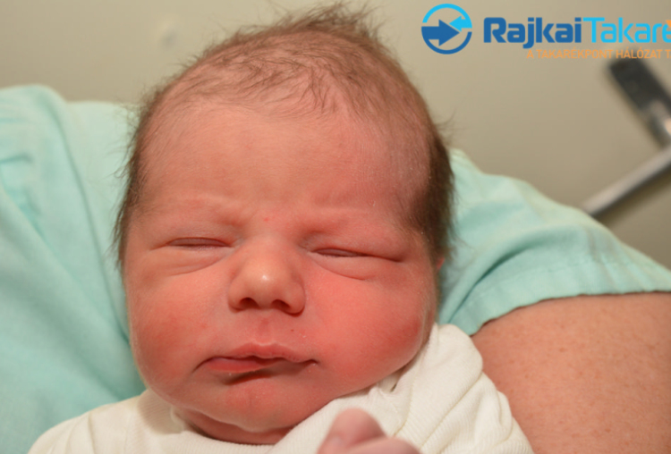 Stuka Roland Lionel, 3220 gr. Dunaremete