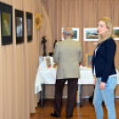 XVI. Nemzetközi művésztalálkozó, Blitz kiállítás és alkotótábor (Fotó: Bánhegyi István)