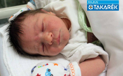 Kovács Nikolász, Mosonmagyaróvár