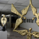 Szigetközi tájak és hangulatok