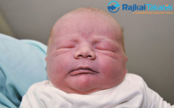 Nyúl Benett László, 3999 gr. Mosonmagyaró