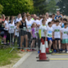 XIV. Greiner Szigetköz Félmaraton