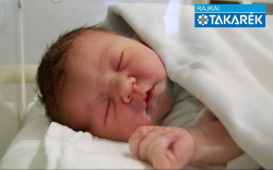 Németh Kata, Halászi