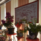 Termény- és virágkiállítás 