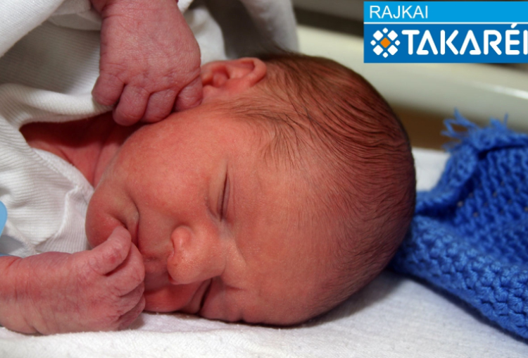 Kertész Zoltán, Mosonmagyaróvár