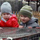 A Pillangó Óvoda és Mini Bölcsöde közös húsvétolása a Mosonmagyaróvári Mentőszolgálat gyermekeivel