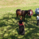 XII. Szigetköz ízei, Vármegye borai Fesztivál 2. nap