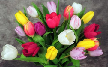 Boldog nőnapot kívánunk!