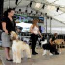 XI. Szigetköz ízei, Vármegye borai Fesztivál 3. nap 