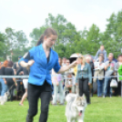 CAC kutyakiállítás (Fotó: Nagy Mária)