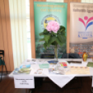 XIX. Mosonmagyaróvári Civil Nap 