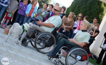 IX. Elfogadás Napja