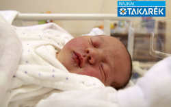 Menyhárt Abigél, Mosonmagyaróvár