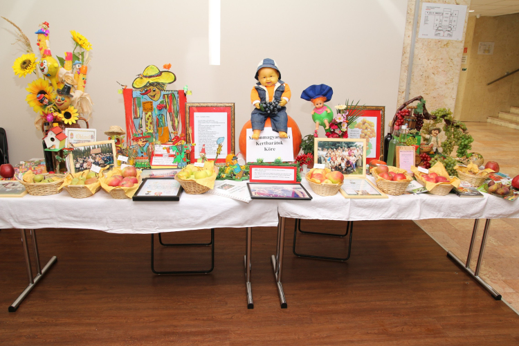 XIX. Mosonmagyaróvári Civil Nap 