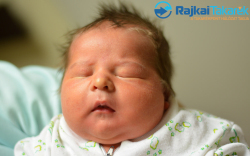 Somorjai Zsombor, 4420 gr. Rajka