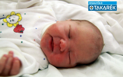 Kelemen Erik, Mosonmagyaróvár