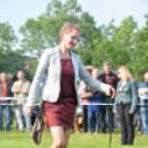 CAC kutyakiállítás (Fotó: Nagy Mária)