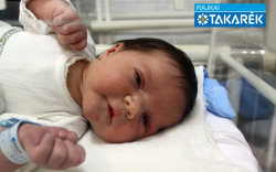 Fábián Nolen Áron, Mosonmagyaróvár