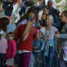 Szigetköz ízei, vármegye borai fesztivál - péntek (Fotó: Nagy Mária)