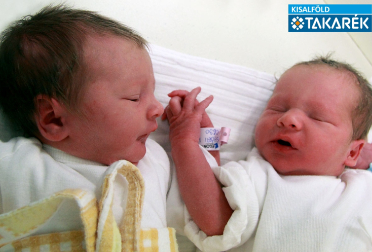 Györfi Níla és Györfi Alen, Levél