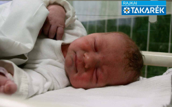 Galambos Anna, Szany