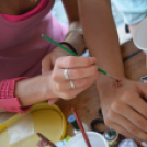 Greiner Bio-One Családi nap (Fotó: Nagy Mária)