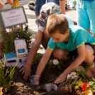 Apró Kezek, Csodakertek