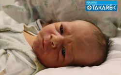 Pócsi Dominik, Mosonmagyaróvár