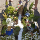 VII. Apró kezek, csodakertek Gyermek Kertépítő verseny