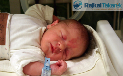 Csatári Ábel, Mosonmagyaróvár