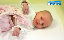 Ékes Veronika,  Levél