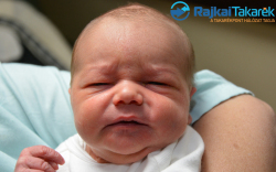 Rigó Milán, 2830 gr. Mosonmagyaróvár