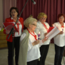 Mozgáskorlátozottak Mosonmagyaróvári Egyesületének évzáró közgyűlése