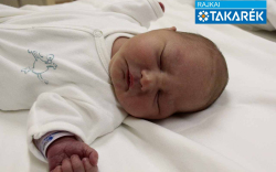 Pormüller Dorka, Mosonmagyaróvár