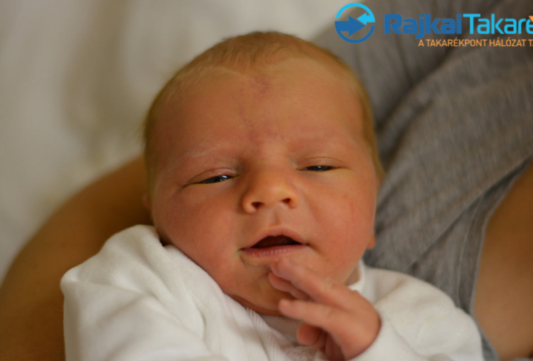 Gutori Milán, 4090 gr. Darnózseli