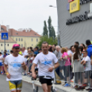 XIV. Greiner Szigetköz Félmaraton