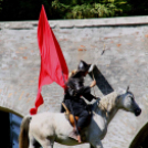  Szigetköz ízei, Vármegye borai Fesztivál 2. nap (Fotó: Stipkovits Veronika, Bánhegyi István)