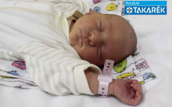 Farkas Véda, Mosonmagyaróvár