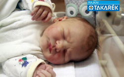 Novics Nimród, Mosonmagyaróvár