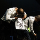 Szigetköz ízei, Vármegye borai Fesztivál - 1 nap