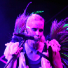 Voluta 1 nap (Fotó: Stipkovits Veronika és Bánhegyi István)