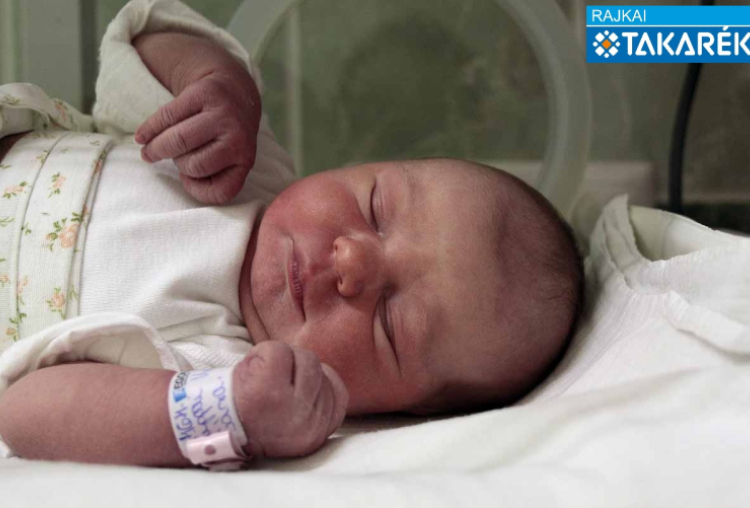 Lippai Kata Sára, Máriakálnok