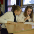 Az ókor titkai történelem verseny 